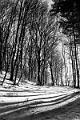 2021_01_01_Mont Beuvray (0015)